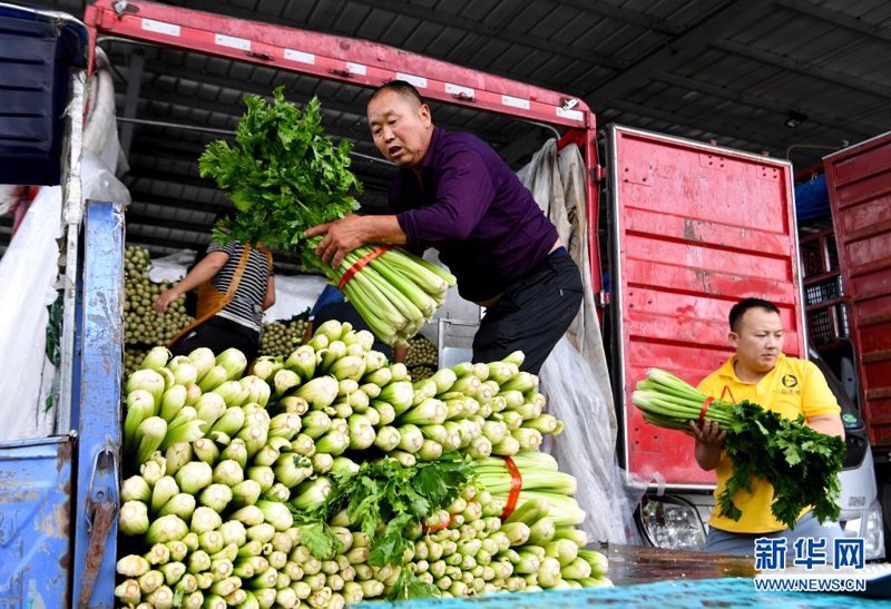 农产品选购指南：如何确保新鲜优质的供应